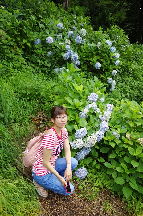 岡山景點│搭公車到吉備津神社，一起來拜訪桃太郎的故鄉、欣賞紫陽花(繡球花)之美