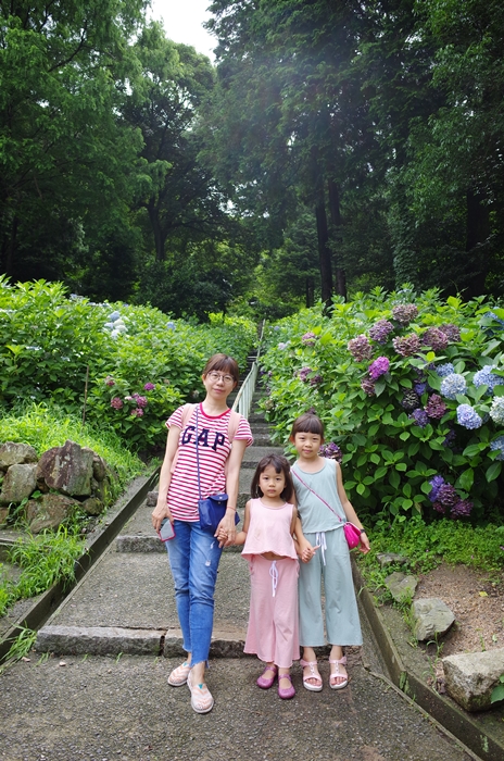 岡山景點│搭公車到吉備津神社，一起來拜訪桃太郎的故鄉、欣賞紫陽花(繡球花)之美