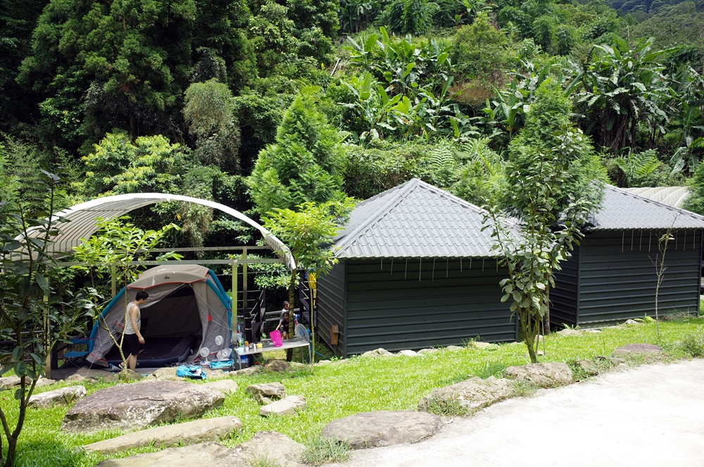 新竹關西│小蜜蜂休閒咖啡屋露營區 海拔570 小木屋零裝備輕裝備包區的好選擇 夏天開放水池有小溪流